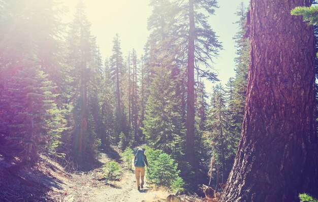 Backpacker in den Sommerbergen