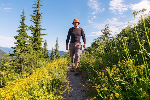 Backpacker in den Sommerbergen