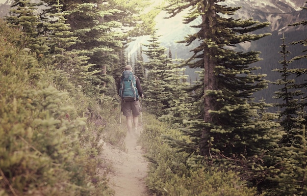 Backpacker in den Sommerbergen