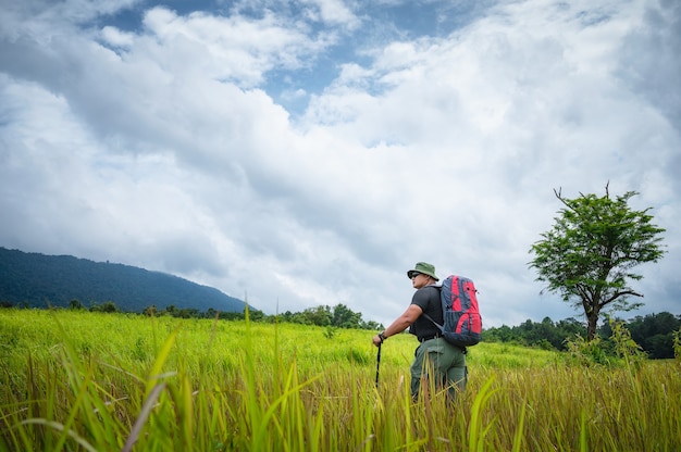 Backpacker-Trekking, um die Natur des Tropenwaldes für Ökotourismus zu studieren. Touristisches Trekking, um die Schönheit des tropischen Waldes im Khao Yai Nationalpark zu sehen. UNESCO-Weltkulturerbe, ungesehenes Thailand.