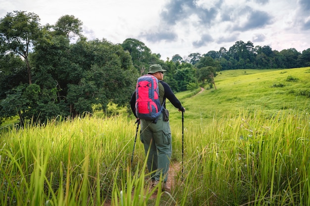 Backpacker-Trekking, um die Natur des Tropenwaldes für Ökotourismus zu studieren. Touristisches Trekking, um die Schönheit des tropischen Waldes im Khao Yai Nationalpark zu sehen. UNESCO-Weltkulturerbe, ungesehenes Thailand.
