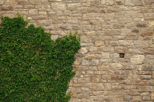 Backsteinmauer eines alten Schlosses