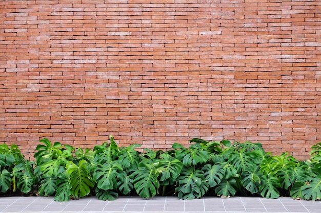 Backsteinmauer und tropische Pflanzen Textur Hintergrund, Eco Design Hintergrund