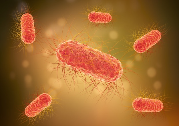 Foto bactéria escherichia coli, e.coli, microrganismo encontrado no intestino. alguns tipos prejudiciais causam diarreia e inflamação. ilustração 3d