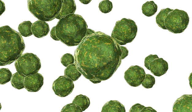 Bactéria vírus renderizado em verde isolado em branco renderização 3d