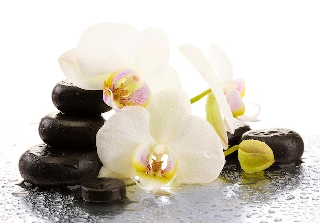 Badekurortsteine und Orchideeblumen getrennt auf Weiß