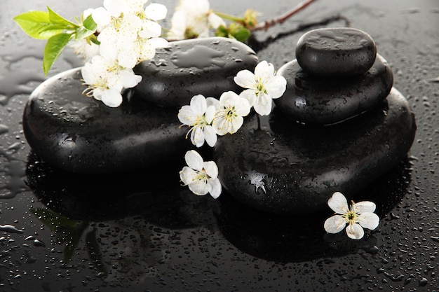 Badekurortsteine und weiße Blumen auf dunklem Hintergrund