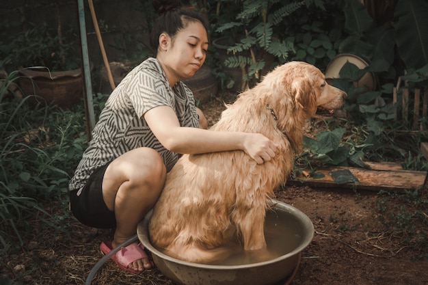 Baden des Hundes, eine Frau badet für ihren Hundegolden retriever.
