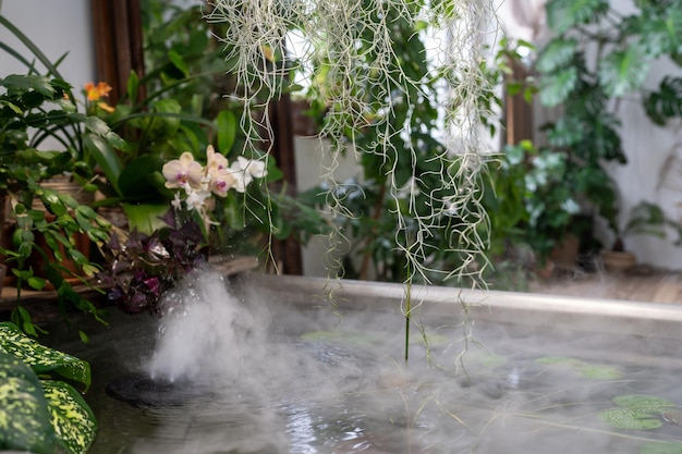 Badewanne mit schwimmenden Pflanzen in einem wundervollen Indoor-Wassergarten voller üppiger tropischer exotischer Vegetation