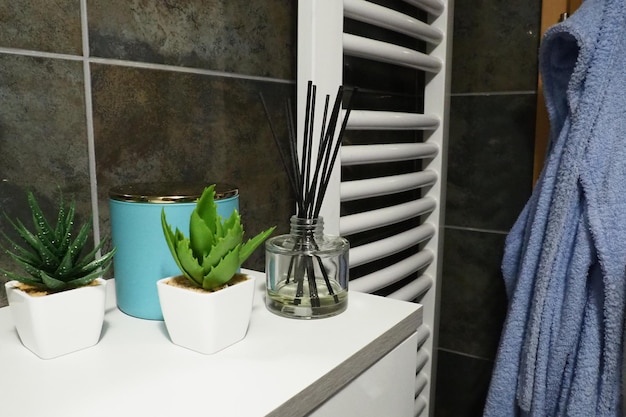 Badezimmer-Dekorelemente Ein blaues Glas Creme und grüne Pflanzen in kleinen weißen Töpfen stehen auf einem Regal im Schrank Schwarze Wandfliesen Badezimmereinrichtung Heizkörperwand Das Hemd wird aufgehängt Duftstäbchen