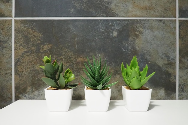 Badezimmer-Designelemente Interieur mit schwarzen Wandfliesen Drei grüne künstliche Bonsai-Pflanzen in weißen kleinen Töpfen auf einem Schrankregal