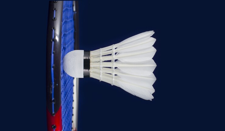 Badmintonschläger und Shuttlecock