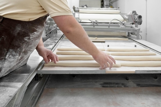 Bäcker, der in einer Industriebäckerei arbeitet und Tabletts mit frischem Brot zubereitet Foto in hoher Qualität