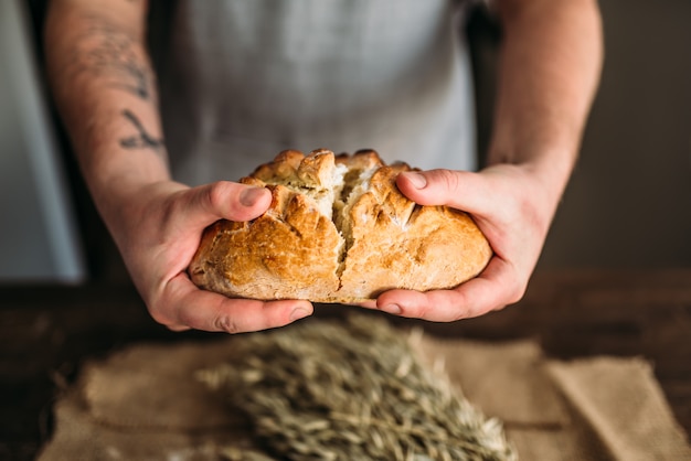 Bäckerhände brechen halb frisch gebackenes Brot mit knuspriger Kruste über dem Tisch mit Weizenbündel auf Leinentuch ein. Hausgemachtes Bäckereikonzept, natürliche Bio-Lebensmittel.