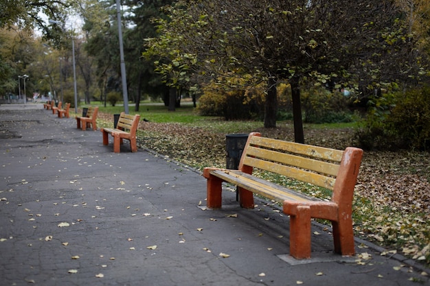 Bänke im Herbstpark