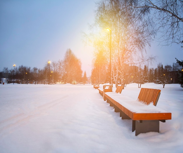 Bänke im Park im Winter unter einer leuchtenden Laterne