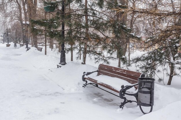 Bänke im Winterstadtpark