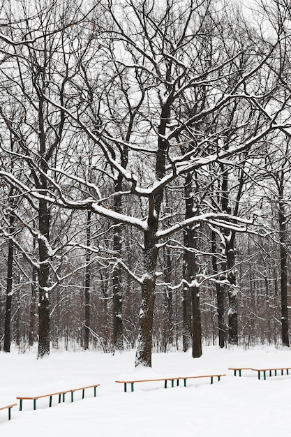 Bänke und Bäume unter Schnee im Stadtpark