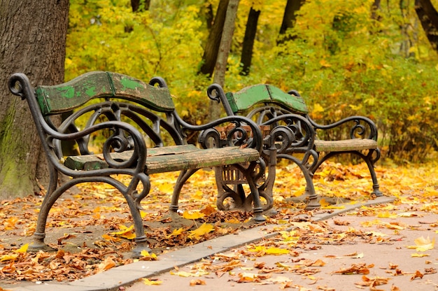 Bänke zu Beginn des Herbstes.