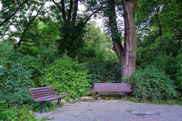 Bänke zum Sitzen in einem öffentlichen Park voller Grün.