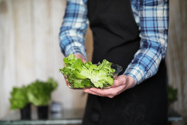 Bärtiger Mann kümmert sich um Salat wird zu Hause in Töpfen angebaut