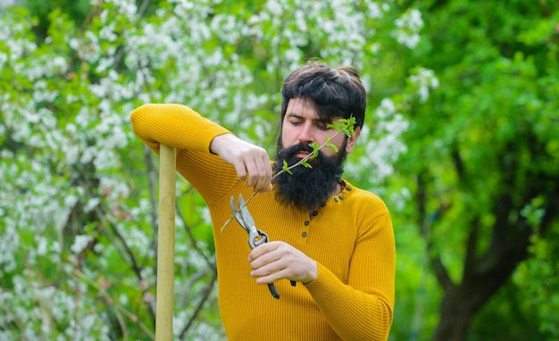 Bärtiger Mann mit Gartenschere Männlicher Bauer schneidet Äste im Garten mit Gartenschere oder Gartenschere