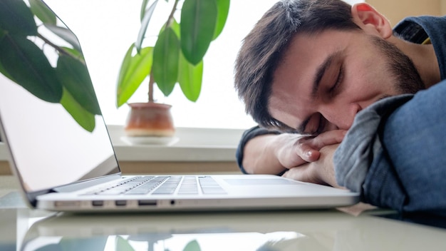 Bärtiger Mann schläft an seinem Arbeitsplatz, zu Hause, im Büro, mit dem Kopf auf dem Schreibtisch