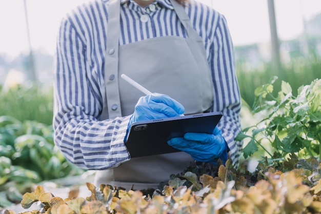 Bäuerin, die früh auf dem Bauernhof arbeitet und Holzkorb mit frischem Gemüse und Tabletx9xA hält