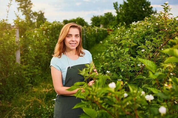 Bäuerin, die im Obstgarten arbeitet Biologeninspektor untersucht Brombeersträucher