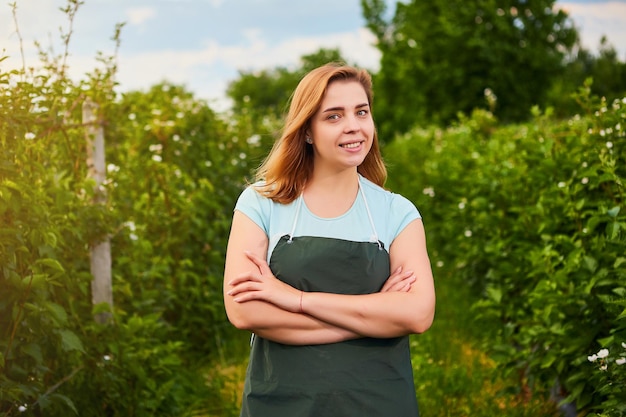 Bäuerin, die im Obstgarten arbeitet Biologeninspektor untersucht Brombeersträucher