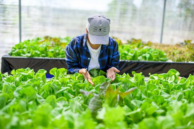 Bäuerin, die sich um Hydroponik-Gemüsegarten-Bio-Gemüse kümmert