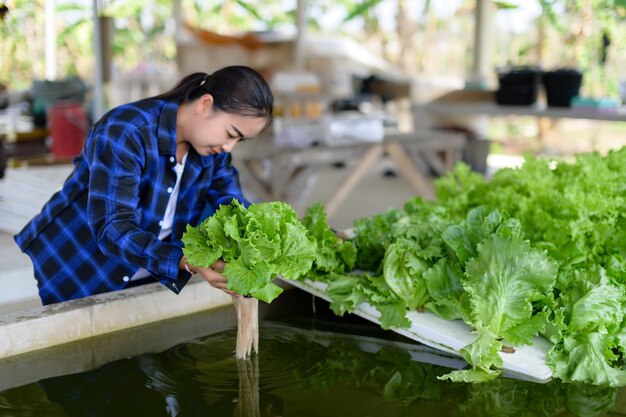 Bäuerin, die sich um Hydroponik-Gemüsegarten-Bio-Gemüse kümmert