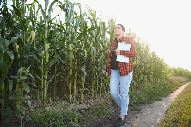 Bäuerin in einem Feld mit Maiskolben