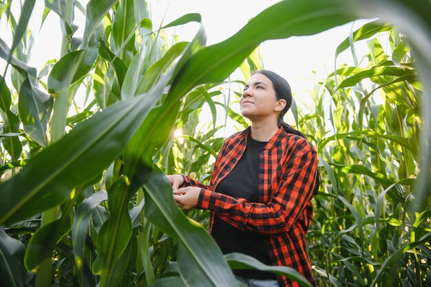 Bäuerin in einem Feld mit Maiskolben