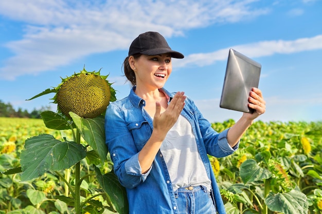 Bäuerin macht Videoinspektion von landwirtschaftlichen Feldern mit Sonnenblumenpflanzen