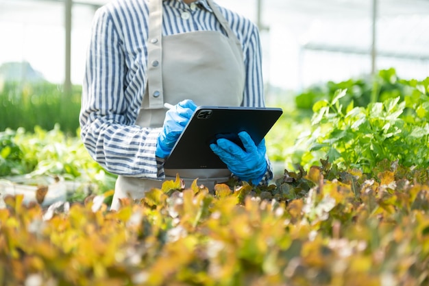 Bäuerin nutzt digitalen Tablet-Computer in der Feldtechnologieanwendung im landwirtschaftlichen Anbau