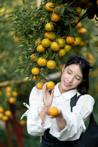 Bäuerin pflückt sorgfältig reife Orange im Obstgarten