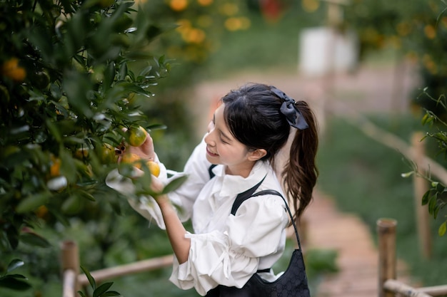 Bäuerin pflückt sorgfältig reife Orange im Obstgarten