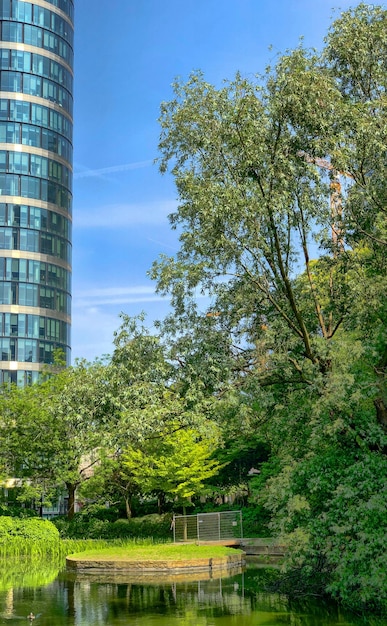 Bäume am See gegen Gebäude in der Stadt