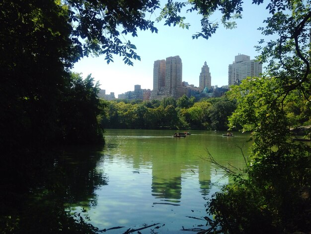 Foto bäume am see im central park