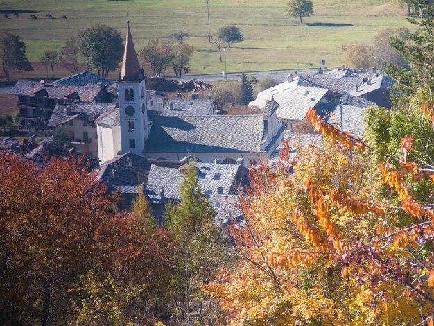 Foto bäume an den häusern im herbst