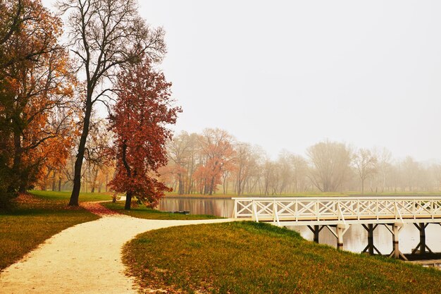 Foto bäume an der brücke im herbst