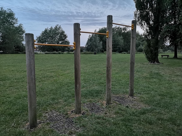 Foto bäume auf dem feld gegen den himmel