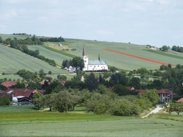 Foto bäume auf dem feld gegen den himmel