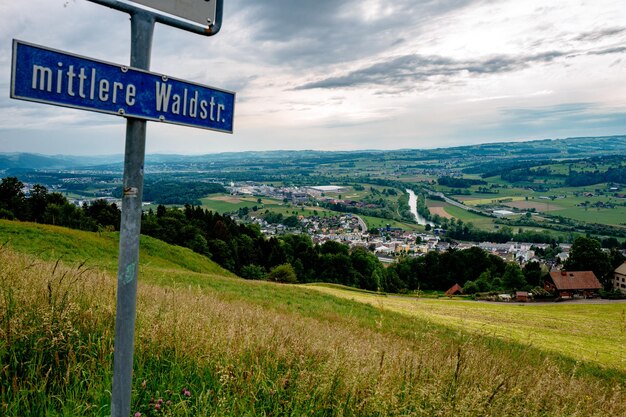 Foto bäume auf dem feld gegen einen bewölkten himmel