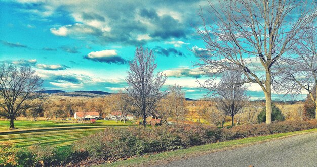 Foto bäume auf dem feld gegen einen bewölkten himmel