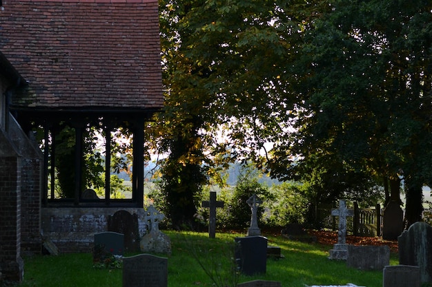 Foto bäume auf einem friedhof