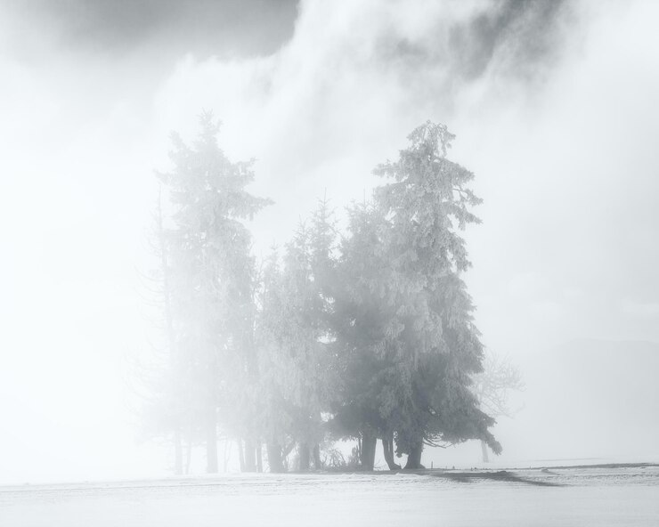 Foto bäume auf einem schneebedeckten feld gegen den himmel