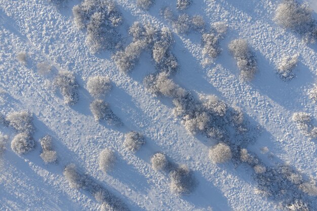 Foto bäume auf einem verschneiten feld sonniger frostiger wintertag