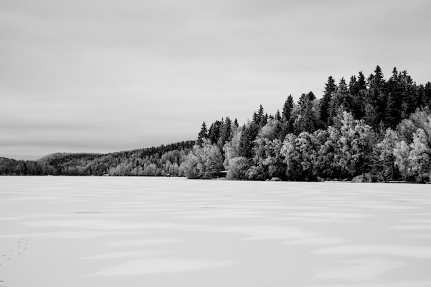 Bäume auf schneebedeckter Landschaft gegen den Himmel